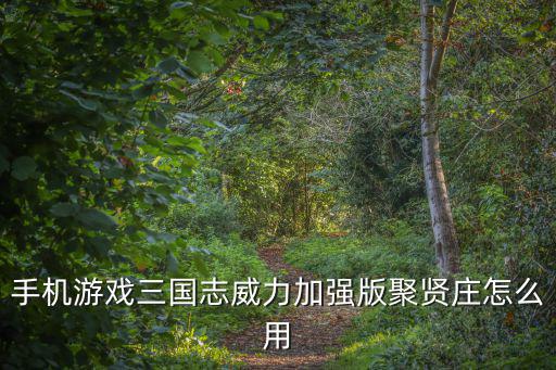 手机游戏三国志威力加强版聚贤庄怎么用