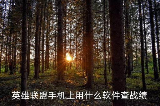 英雄联盟手机上用什么软件查战绩