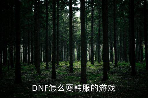 DNF怎么耍韩服的游戏