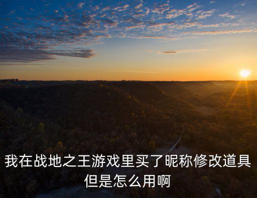 我在战地之王游戏里买了昵称修改道具但是怎么用啊