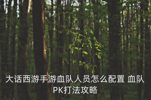 大话手游血队怎么加点，手游大话西游男仙血法怎么加点