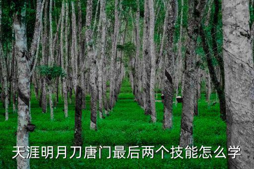 手游天刀唐门地纹怎么用，天涯明月刀唐门木偶后来位置怎么不可设置