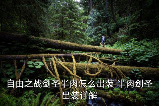 自由之战剑圣半肉怎么出装 半肉剑圣出装详解