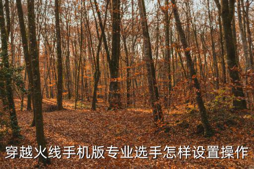 穿越火线手机版专业选手怎样设置操作