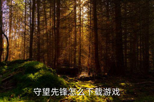 ios守望先锋手游版怎么下载，守望先锋怎么下载游戏
