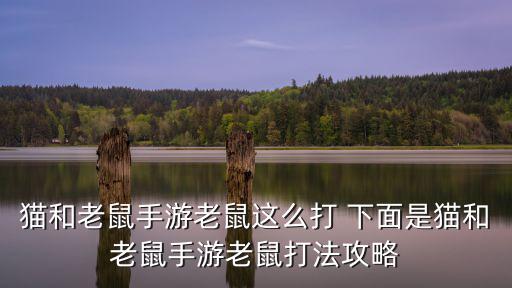 猫和老鼠手游老鼠这么打 下面是猫和老鼠手游老鼠打法攻略