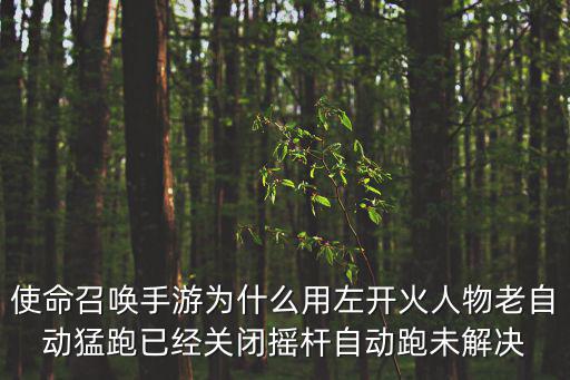 使命召唤手游为什么用左开火人物老自动猛跑已经关闭摇杆自动跑未解决