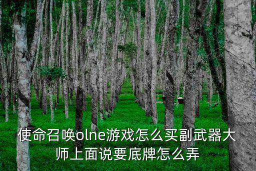 使命召唤olne游戏怎么买副武器大师上面说要底牌怎么弄
