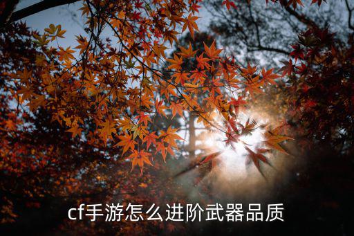 cf手游怎么进阶武器品质