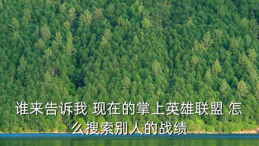 谁来告诉我 现在的掌上英雄联盟 怎么搜索别人的战绩