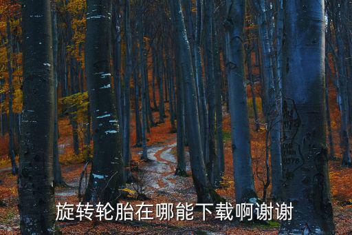 旋转轮胎在哪能下载啊谢谢