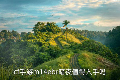 cf手游m14ebr暗夜值得入手吗