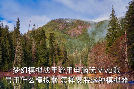 梦幻手游的模拟器怎么用，梦幻模拟战手游用电脑玩 vivo账号用什么模拟器 怎样安装这种模拟器