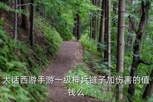 大话西游手游一级神兵链子加伤害的值钱么