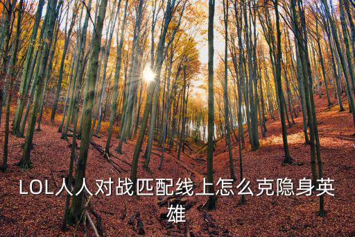 LOL人人对战匹配线上怎么克隐身英雄