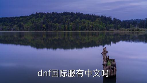 dnf国际服有中文吗