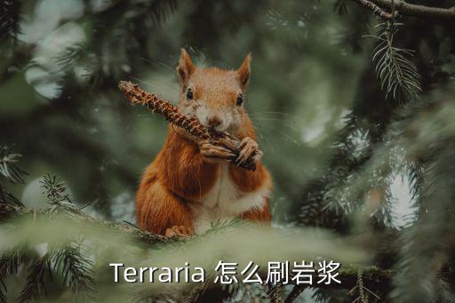 Terraria 怎么刷岩浆