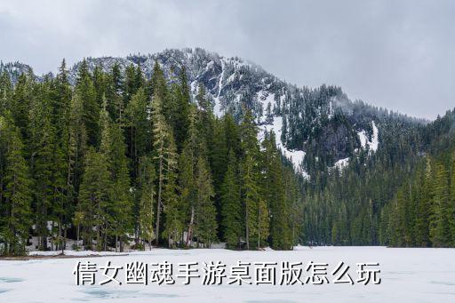 倩女幽魂手游初心怎么玩，倩女幽魂手游桌面版怎么玩