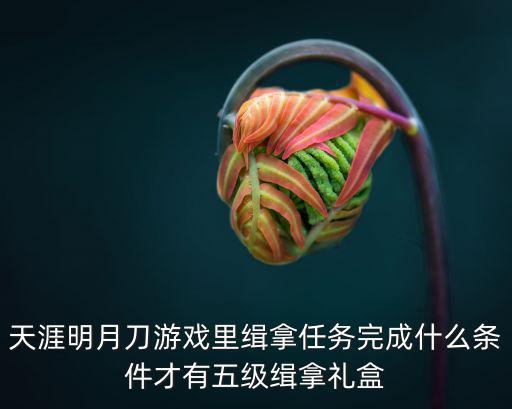 天涯明月刀手游天芒秘匣怎么解锁，天刀航海多少级解锁