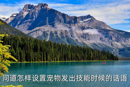 问道怎样设置宠物发出技能时候的话语