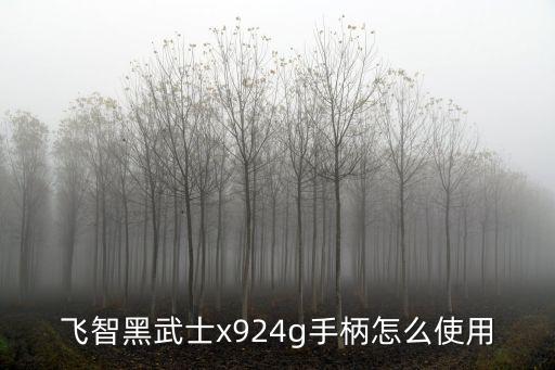 飞智游戏手柄手游怎么用陀螺仪，飞智手柄如何使用装备的主动技能