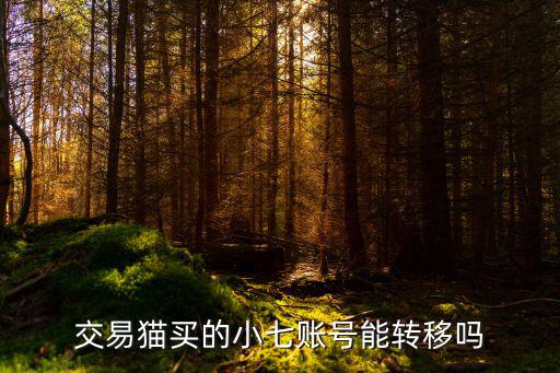 交易猫买的小七账号能转移吗