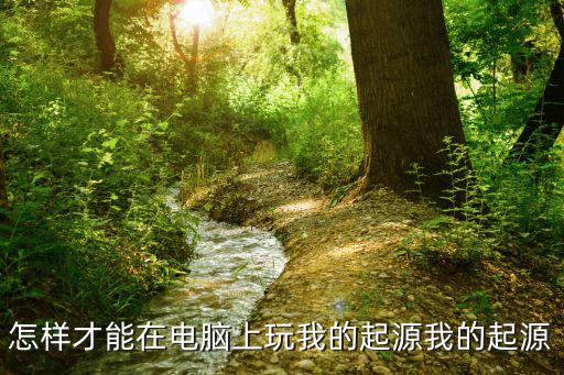 怎样才能在电脑上玩我的起源我的起源