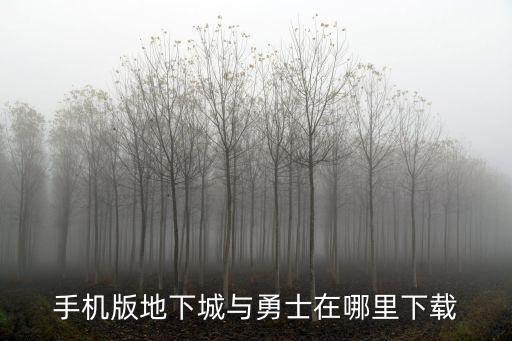 怎么样下载地下城手游版，地下城怎么下载