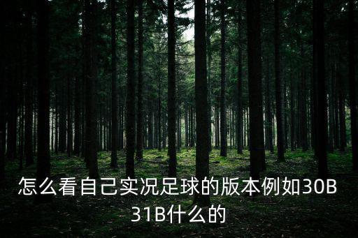 怎么看自己实况足球的版本例如30B31B什么的