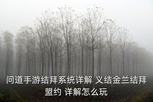 问道手游结拜系统详解 义结金兰结拜盟约 详解怎么玩