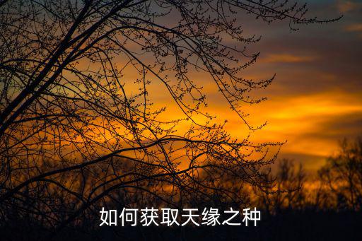如何获取天缘之种
