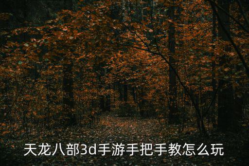 天龙八部3d手游手把手教怎么玩