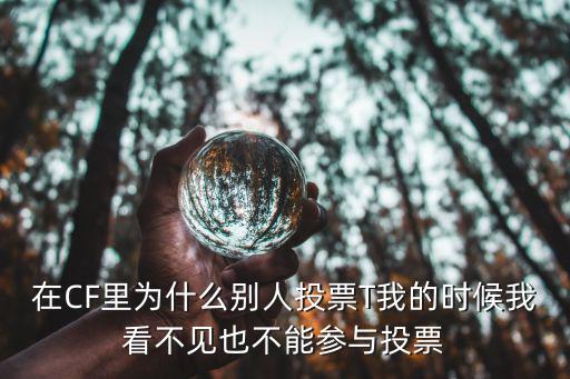 在CF里为什么别人投票T我的时候我看不见也不能参与投票