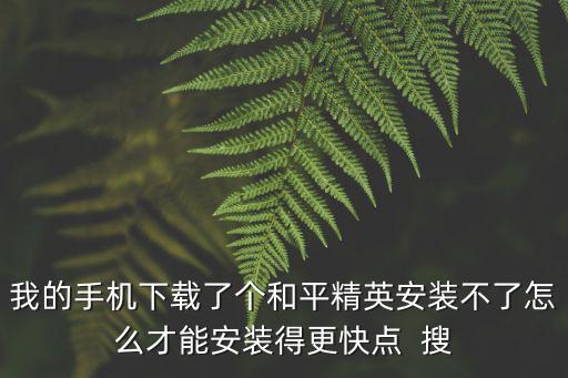 我的手机下载了个和平精英安装不了怎么才能安装得更快点  搜