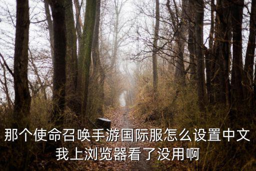 超凡先锋国际服手游怎么改中文，奥特曼传奇英雄国际服怎么改中文