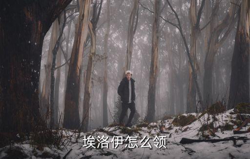 原神手游艾洛伊怎么领取，原神俄洛伊怎么领
