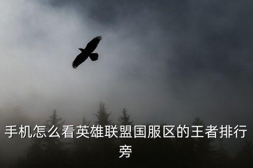 联盟手游怎么查看英雄地区排名，手机怎么看英雄联盟国服区的王者排行旁