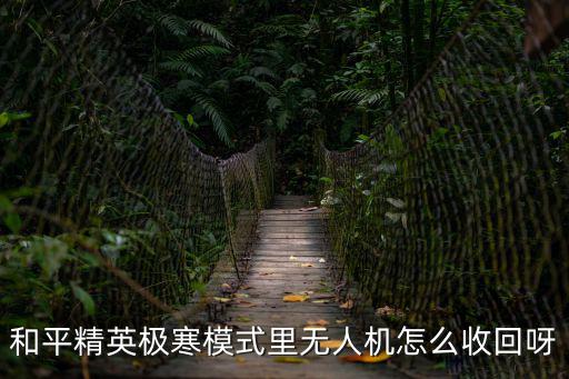 和平精英极寒模式里无人机怎么收回呀
