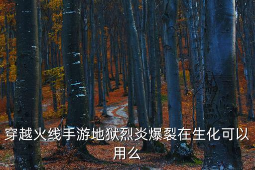 穿越火线手游地狱烈炎爆裂在生化可以用么