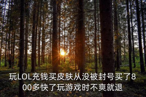 玩LOL充钱买皮肤从没被封号买了800多快了玩游戏时不爽就退