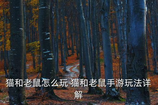 猫和老鼠怎么玩 猫和老鼠手游玩法详解