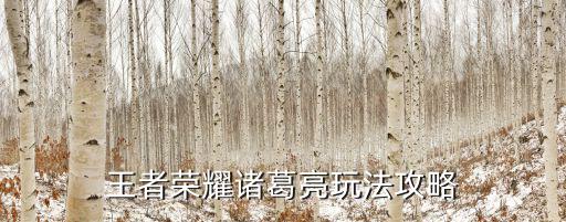 王者荣耀诸葛亮玩法攻略