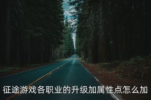 征途游戏各职业的升级加属性点怎么加