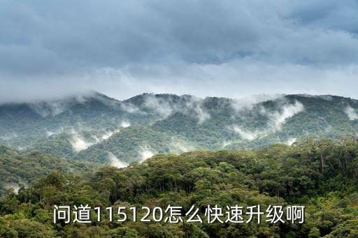 问道115120怎么快速升级啊