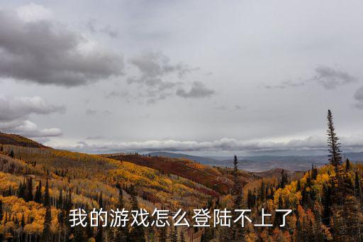 我的游戏怎么登陆不上了