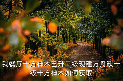 我餐厅十方神木已升二级现建方舟缺一级十方神木如何获取