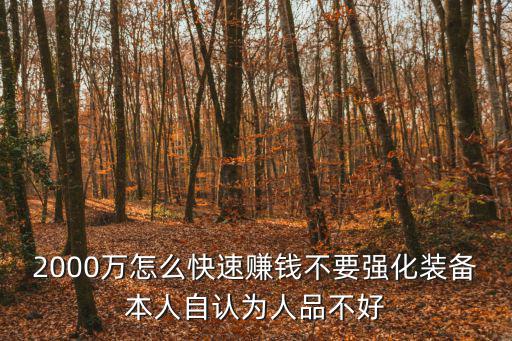 2000万怎么快速赚钱不要强化装备本人自认为人品不好