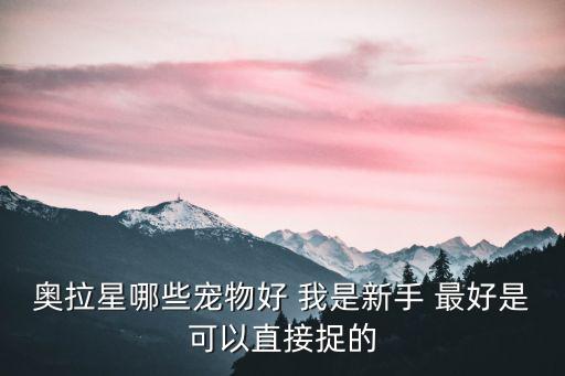 奥拉星哪些宠物好 我是新手 最好是可以直接捉的