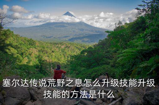 塞尔达传说荒野之息怎么升级技能升级技能的方法是什么