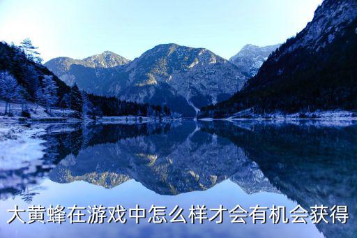 大黄蜂在游戏中怎么样才会有机会获得